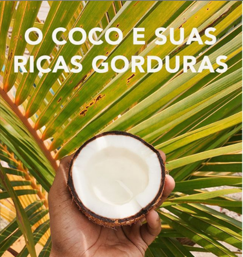O coco e suas ricas gorduras